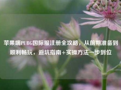苹果端PUBG国际服注册全攻略，从前期准备到顺利畅玩，避坑指南+实操方法一步到位