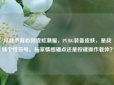 从战术背心到霓虹潮服，PUBG装备皮肤，是战场个性符号、玩家情感锚点还是按键操作载体？