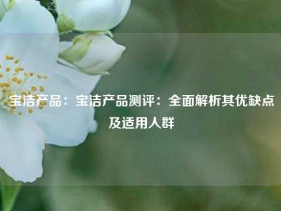 宝洁产品：宝洁产品测评：全面解析其优缺点及适用人群