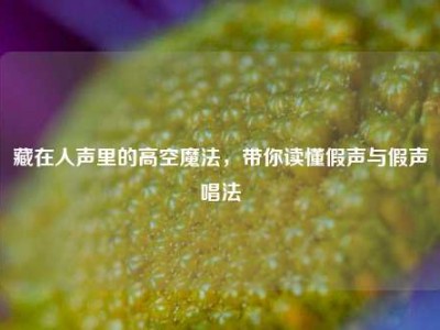 藏在人声里的高空魔法，带你读懂假声与假声唱法