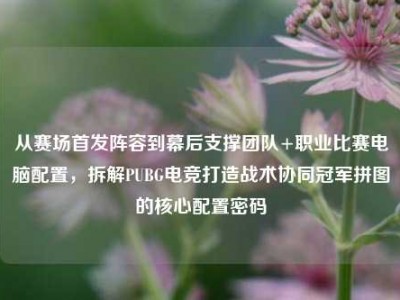 从赛场首发阵容到幕后支撑团队+职业比赛电脑配置，拆解PUBG电竞打造战术协同冠军拼图的核心配置密码