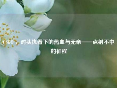 CSGO ，对头执着下的热血与无奈——点射不中的征程