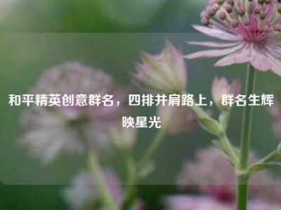和平精英创意群名，四排并肩路上，群名生辉映星光