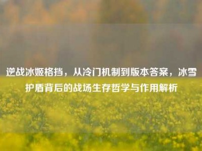 逆战冰姬格挡，从冷门机制到版本答案，冰雪护盾背后的战场生存哲学与作用解析