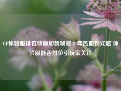 CF体验服排位动画加载帧藏十年热血仪式感 体验服能否排位引玩家关注