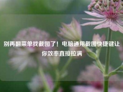 别再翻菜单找截图了！电脑通用截图快捷键让你效率直接拉满