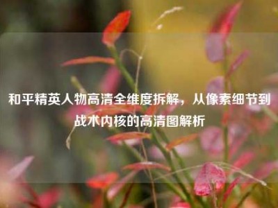 和平精英人物高清全维度拆解，从像素细节到战术内核的高清图解析