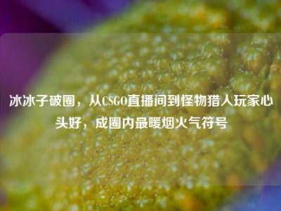 冰冰子破圈，从CSGO直播间到怪物猎人玩家心头好，成圈内最暖烟火气符号