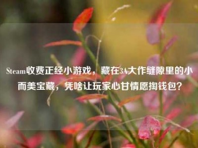 Steam收费正经小游戏，藏在3A大作缝隙里的小而美宝藏，凭啥让玩家心甘情愿掏钱包？