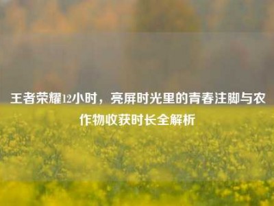 王者荣耀12小时，亮屏时光里的青春注脚与农作物收获时长全解析