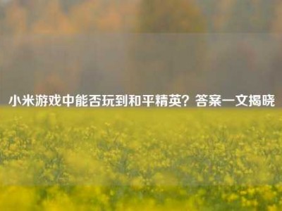 小米游戏中能否玩到和平精英？答案一文揭晓