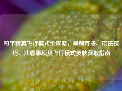 和平精英飞行模式全攻略，解锁方法、玩法技巧、注意事项及飞行模式皮肤获取指南
