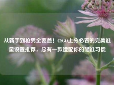从新手到枪男全覆盖！CSGO上分必看的完美准星设置推荐，总有一款适配你的瞄准习惯