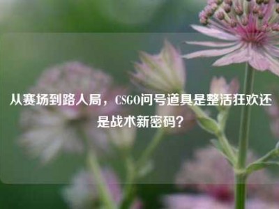 从赛场到路人局，CSGO问号道具是整活狂欢还是战术新密码？