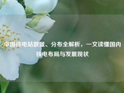 中国核电站数量、分布全解析，一文读懂国内核电布局与发展现状