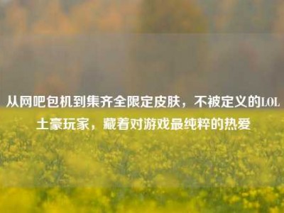 从网吧包机到集齐全限定皮肤，不被定义的LOL土豪玩家，藏着对游戏最纯粹的热爱