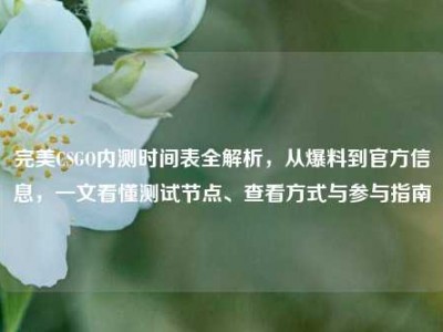 完美CSGO内测时间表全解析，从爆料到官方信息，一文看懂测试节点、查看方式与参与指南
