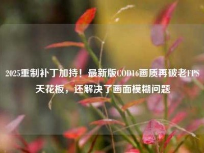 2025重制补丁加持！最新版COD16画质再破老FPS天花板，还解决了画面模糊问题