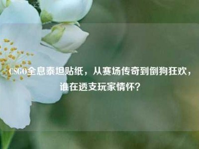 CSGO全息泰坦贴纸，从赛场传奇到倒狗狂欢，谁在透支玩家情怀？