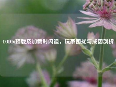 COD16预载及加载时闪退，玩家困扰与成因剖析