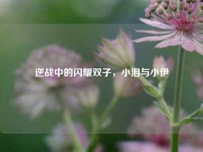 逆战中的闪耀双子，小泪与小伊