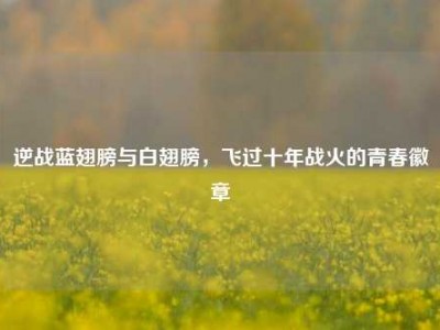 逆战蓝翅膀与白翅膀，飞过十年战火的青春徽章