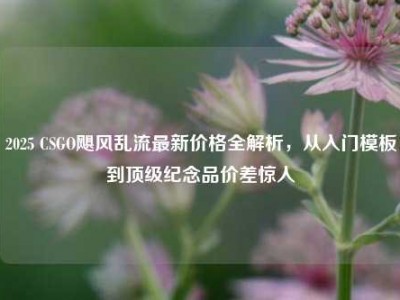2025 CSGO飓风乱流最新价格全解析，从入门模板到顶级纪念品价差惊人