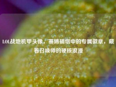 LOL战地机甲头像，赛博硝烟中的专属徽章，藏着召唤师的硬核浪漫