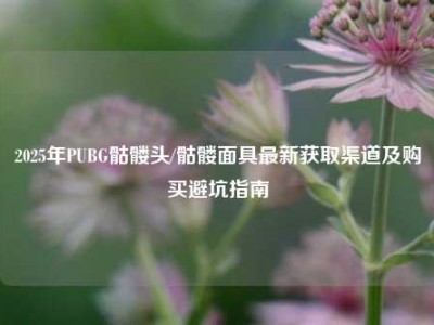 2025年PUBG骷髅头/骷髅面具最新获取渠道及购买避坑指南