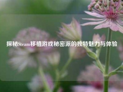 探秘Steam移植游戏秘密派的独特魅力与体验