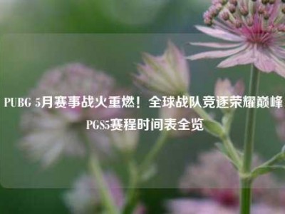 PUBG 5月赛事战火重燃！全球战队竞逐荣耀巅峰 PGS5赛程时间表全览
