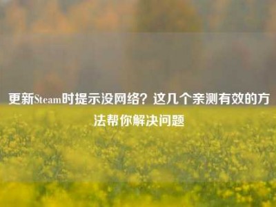 更新Steam时提示没网络？这几个亲测有效的方法帮你解决问题