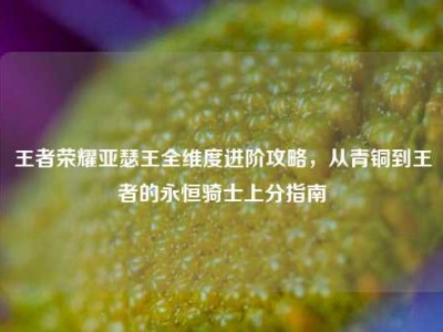 王者荣耀亚瑟王全维度进阶攻略，从青铜到王者的永恒骑士上分指南