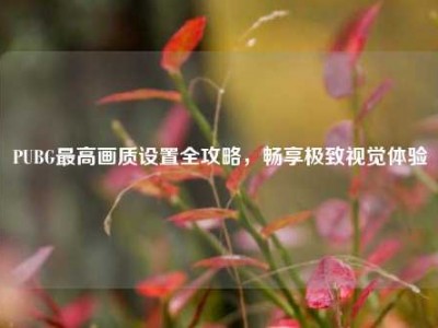 PUBG最高画质设置全攻略，畅享极致视觉体验