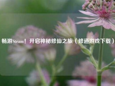 畅游Steam！开启神秘修仙之旅（修道游戏下载）