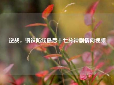 逆战，钢铁防线最后十七分钟剧情向视频