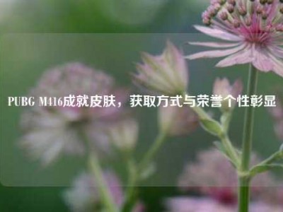 PUBG M416成就皮肤，获取方式与荣誉个性彰显
