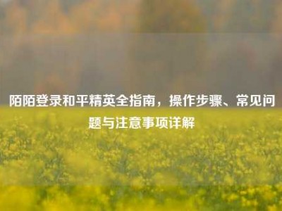 陌陌登录和平精英全指南，操作步骤、常见问题与注意事项详解