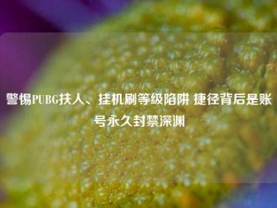 警惕PUBG扶人、挂机刷等级陷阱 捷径背后是账号永久封禁深渊