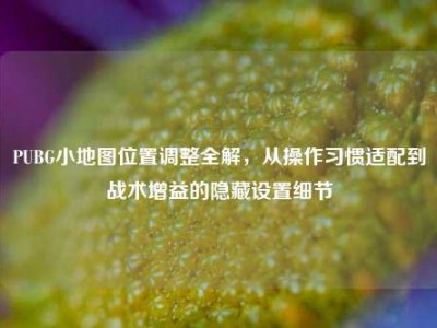 PUBG小地图位置调整全解，从操作习惯适配到战术增益的隐藏设置细节