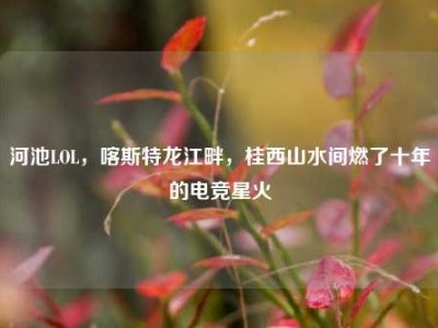 河池LOL，喀斯特龙江畔，桂西山水间燃了十年的电竞星火