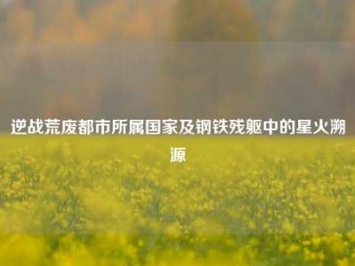 逆战荒废都市所属国家及钢铁残躯中的星火溯源