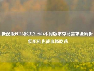 低配版PUBG多大？2023不同版本存储需求全解析 低配机也能流畅吃鸡