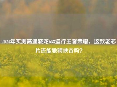 2024年实测高通骁龙653运行王者荣耀，这款老芯片还能驰骋峡谷吗？