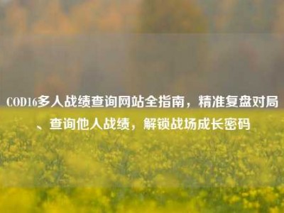 COD16多人战绩查询网站全指南，精准复盘对局、查询他人战绩，解锁战场成长密码