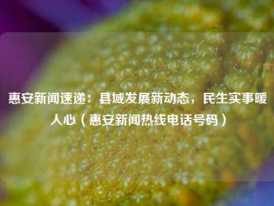 惠安新闻速递：县域发展新动态，民生实事暖人心（惠安新闻热线电话号码）
