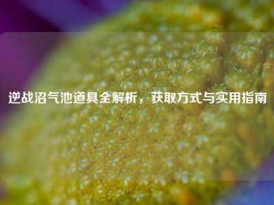 逆战沼气池道具全解析，获取方式与实用指南