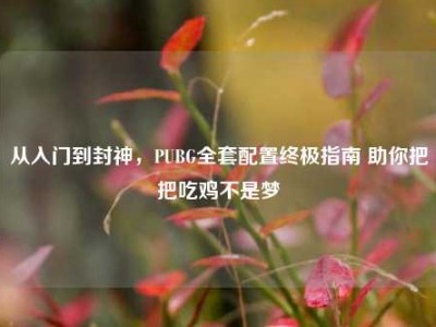 从入门到封神，PUBG全套配置终极指南 助你把把吃鸡不是梦
