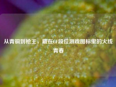 从青铜到枪王，藏在CF段位游戏图标里的火线青春