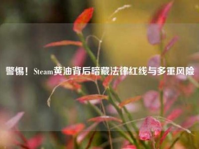 警惕！Steam黄油背后暗藏法律红线与多重风险